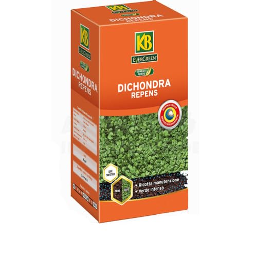 BERARDI | Dichondra repens 250 gr | Formula sementi speciale per prati da vivere