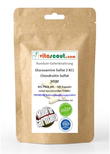 MSM & Glucosamin Sulfat Pulver mit Chondroitin - Enthält 540 hochdosierte Kapseln, enthält Vitamin C