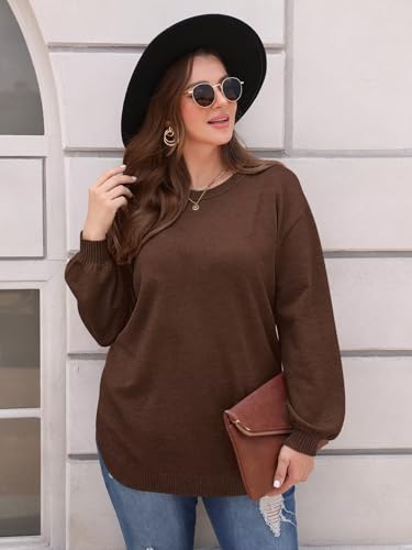 Image of Women's Plus Size Sweaters Crewneck Knit Side Slit Pullover Tops Fall Outfits (4X, Coffee)