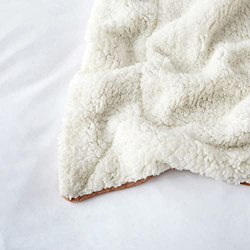 Ir Imperial Rooms Sherpa Blanket For Bed Twin Size - Soft And Fuzzy Throw Blanket For Couch And Sofa - Reversible Microfiber Thick And Warm Fluffy Sherpa Fleece Throw Blankets, Camel, 60 X 80 Inches #TOP6