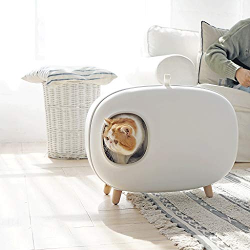 Bac à litière fermé pour chat grand format 60cm de toilette verte