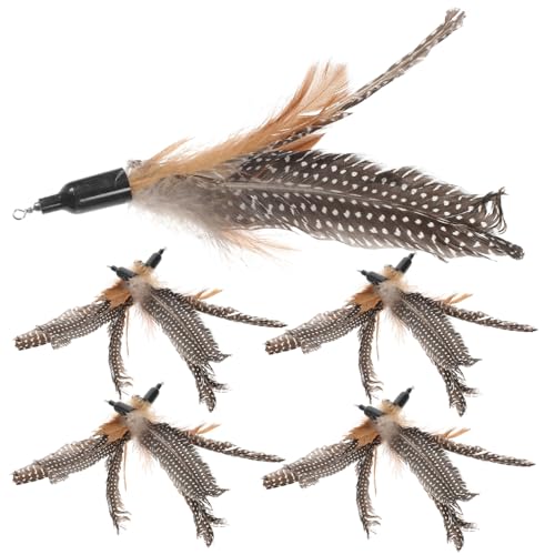 LOLIPPYY 8 LH ւ _y pL炵wbh 邢FŒӂ L̉^s