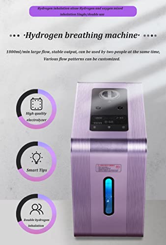 Aniwini H2 Specifications Display