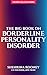 The Big Book on Borderline Personality Disorder (Bpd Wellness)