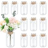 12PCS Vintage Glass Vases for Flowers, Farmhouse Clear Glass Vases for Centerpieces Small Flower Vases with Twine Ties Bulk Mason Jars for Wedding, Parties, Table Decor (Transparent)