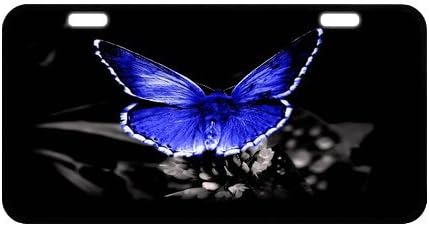 Pretty Blue Butterfly On Flower With Black Background Durable Aluminum Car License Plate 11.8" x 6.1"
