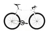 Golden Cycles Fixed Gear Single Speed Bike - Perfect Urban Commuter Bicycle with Front and Rear Brakes - Ideal for Teens and Adults - The Bike Comes in Different Sizes (48cm, Shocker)