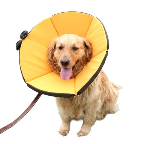 Collier de convalescence pour chien empêchant le grattage des oreilles