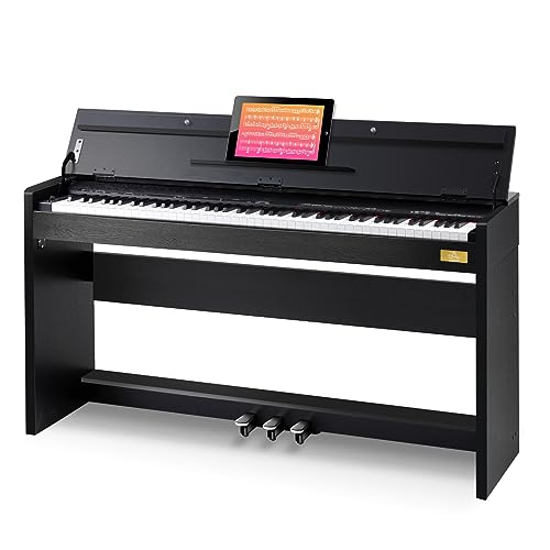 Find The Best Digital Piano Keyboard Action Reviews & Comparison Katynel