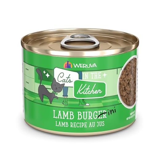 Weruva Cats in The Kitchen Lamb Burger-ini