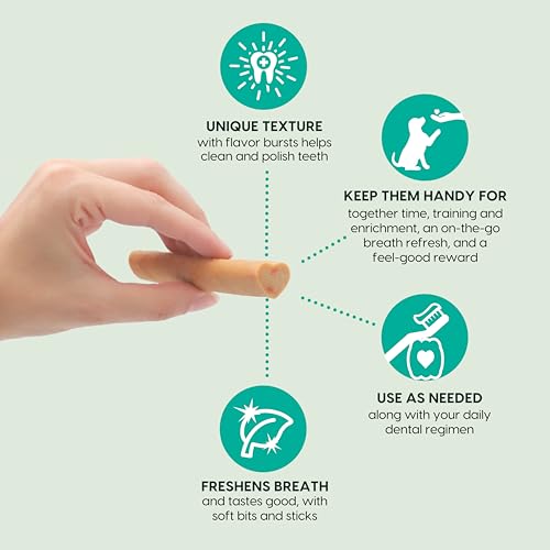 Ark Naturals Pasta de dente sem escova Breath Bursts, palitos dentários para cães para raças grandes