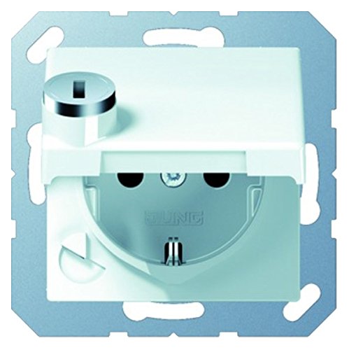 Prise Schuko Jung pour sécuriser les ateliers et espaces publics 250 V