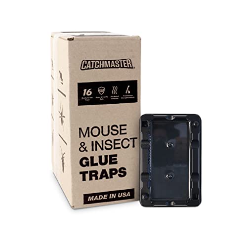 Top 10 Best Sticky Traps For Mice Reviews & Buying Guide Katynel