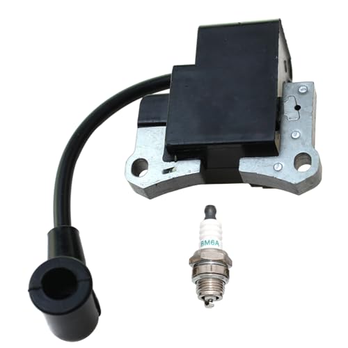 Bobina de encendido evita paradas de motor en modelos CG260 BC260 y TLE23 013666 3