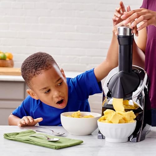 Image of Fruit Frozen Dessert Maker Healthy Soft Serve sorbets, Smoothie Maker Machine Vegan Ice Cream Maker Frozen Yogurt Maker For Home
