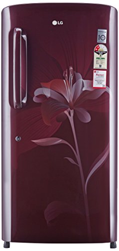 LG 215 L 2 Star Direct-Cool Single Door Refrigerator