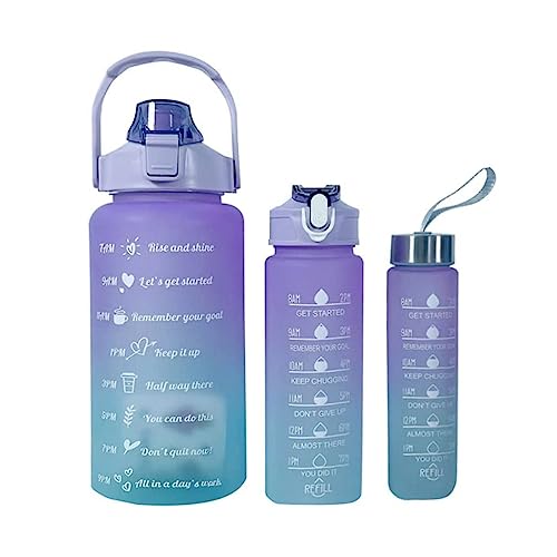 Kit 3 Garrafas 2 Litros 900ml 300ml Garrafas Água Canudo Adesivos 3d e 2d Squeeze Academia Fitness E