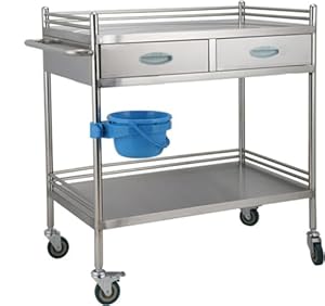 Generisch Edelstahl Labor-Rollwagen A-1 2-lagig