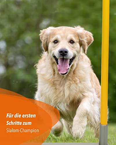 SPORTIKEL24 2by2 Weave Poles – Blau – 2er Set Agility-Slalomstangen mit Metallbasis – für Training & Parcoursaufbau – erweiterbar & mobil