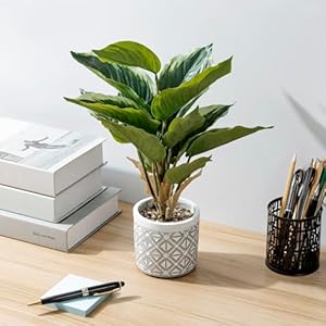 MyGift Artificial Dieffenbachia Leafy Plant in Modern Gray Concrete Pot with Geometric Embossed Pattern, Faux Indoor Home Decor Greenery Decorative Round Planter MyGift Artificial Dieffenbachia Leafy Plant in Modern Gray Concrete Pot with Geometric Embossed Pattern Faux Indoor Home Decor Greenery Decorative Round Planter