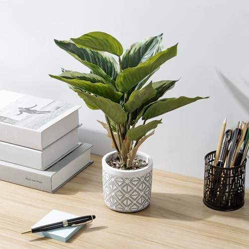 MyGift-Artificial-Dieffenbachia-Leafy-Plant-in-Modern-Gray-Concrete-Pot-with-Geometric-Embossed-Pattern-Faux-Indoor-Home-Decor-Greenery-Decorative-Round-Planter MyGift Artificial Dieffenbachia Leafy Plant in Modern Gray Concrete Pot with Geometric Embossed Pattern Faux Indoor Home Decor Greenery Decorative Round Planter