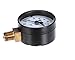 Insinger SK1433 Pressure Gauge, 0-100, Psi#Tl2O