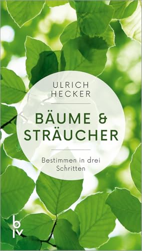 Bäume und Sträucher: Bestimmen in drei Schritten (BLV Bäume & Pflanzen)