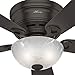 Hunter Fan Company, 52137, 42 inch Haskell Premier Bronze Low Profile Ceiling Fan with LED Light Kit and Pull Chain