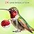 Smart Glass Hummingbird Feeder with Camera, Solar Powered 2K HD Hummingbird Feeders for Outdoors Hanging, AI Identifies & Auto Recording, Leak-Proof Ant & Bee Proof, Ideal Gift for Bird Lovers