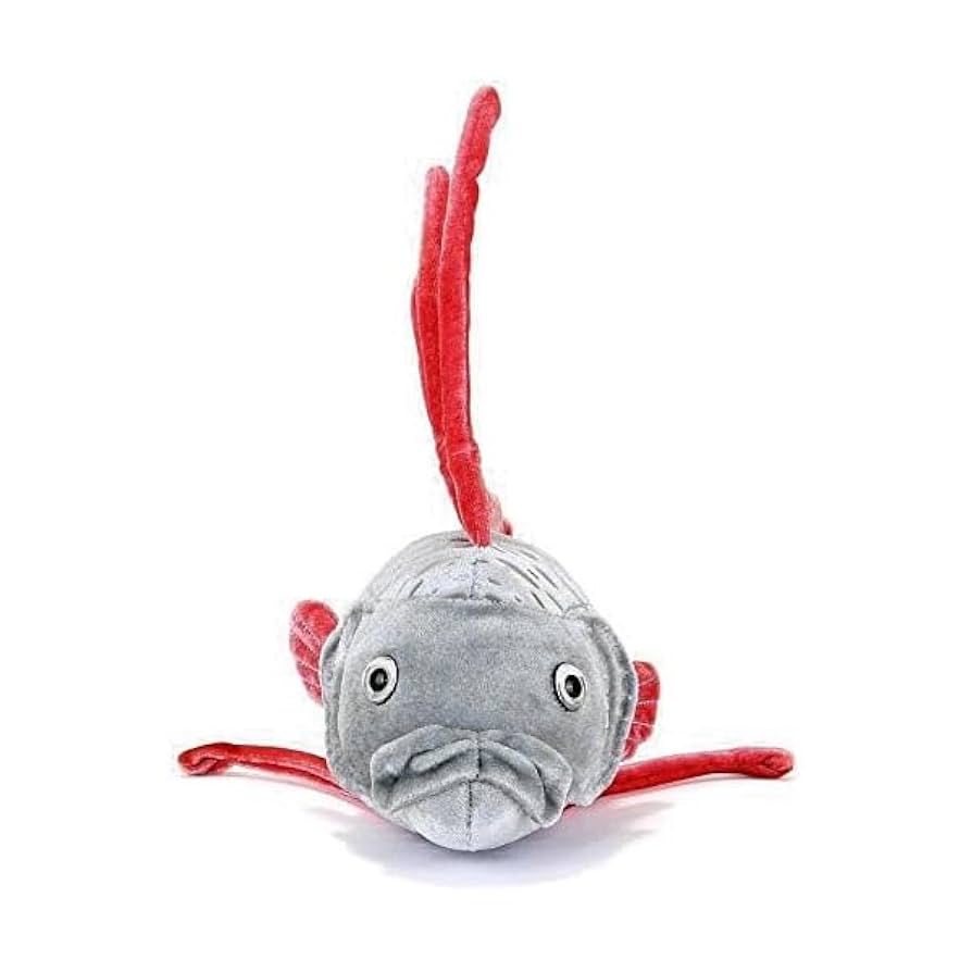 限定特価！新品☆【リュウグウノツカイ&ラブカ】BIGぬいぐるみ(★全2種)未開封 動物 生物 ぬいぐるみ リュウグウノツカイ / カロラータ