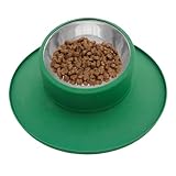 Cuencos de alimentación para Gatos – Cuencos de Acero Inoxidable para gatus – Cuenco de Comida para Gatitos a Prueba de derrames para Perros, Gatos, Mascotas, alimentación, Agua Potable, Alimentos,
