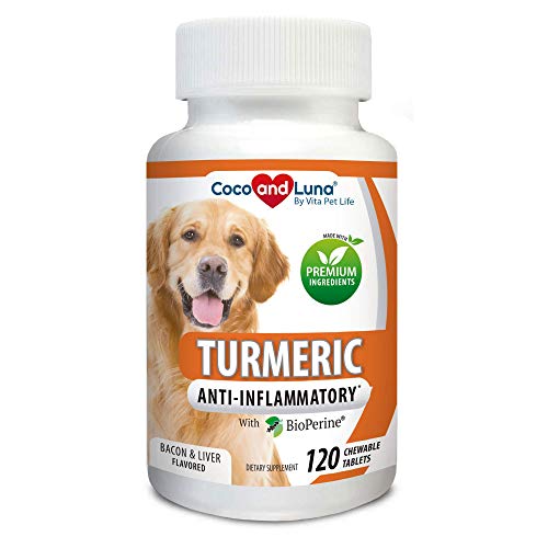 Top 10 Best Anti Inflammatory Medicine For Dogs in 2024 Reviews by