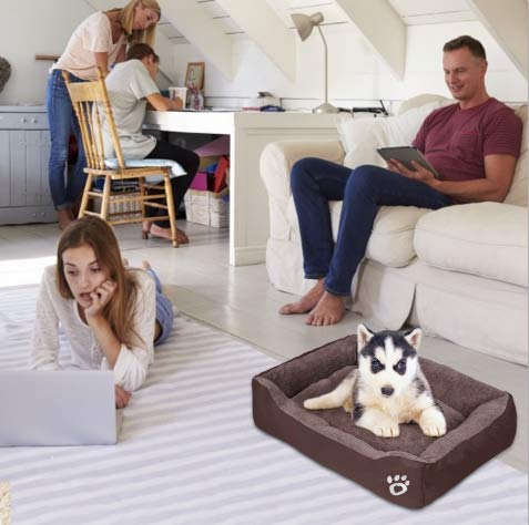 PUPPBUDD Dog Beds for Medium Dogs, Rectangle Washable Dog Bed Comfortable and Breathable Pet Sofa Warming Orthopedic Dog… - Image 6