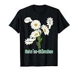 Gänseblümchen Mit Stiel Gänseblümchen Mitgebsel