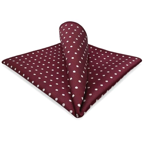 SHLAX&WING Pocket Square Red White Dotty Mens Handkerchief Silk Business Wedding