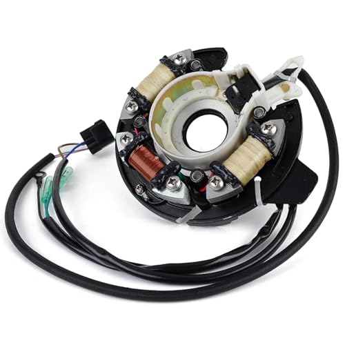 Assemblage de bobine de stator pour moteur hors-bord de moto 40 ch E40X