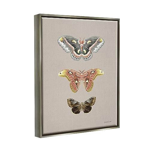 Image of Vintage Moth Specimens Nature, 16 x 20 Inch Canvas in Floater Frame | Stupell Industries . By Danhui Nai . Ready to hang . Printed in Johnston . Rhode Island . Made in USA