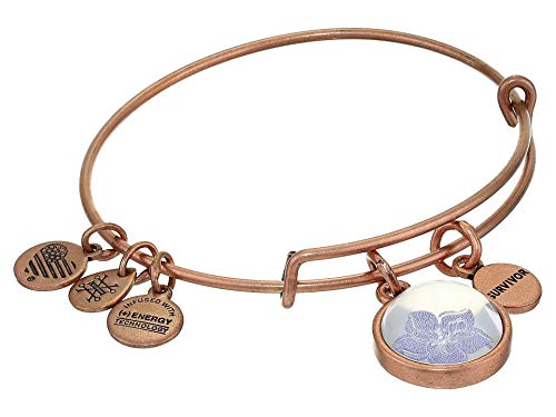 Alex and Ani Duo Charm Mantra Bangle Bracelet Rose Gold/Wildflower Mantra One Size, Rafaelian Rose Gold (A20EBSP06RAR)