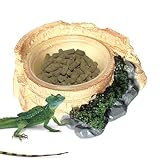 Jiimhte Plato de Agua de Leopardo | para Beber, Cuenco de Agua de Lagarto, para Reptiles, lagartos, Serpientes, Leopardo, dragón Barbudo, Accesorios de alimentación, de