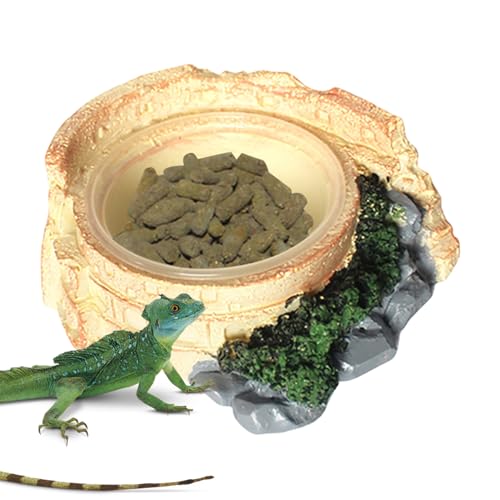 Cuenco para Reptiles | Decoración para el Acuario - Cuencos de Animales pequeños - Decoración para Acuario Hábitat para Pequeñas Tortugas para Reptiles Serpientes Hámster Leopard Gecko