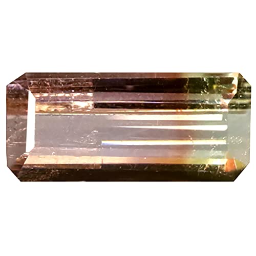 Tourmaline bicolore brésilienne de 3.06 carats pour bague sur mesure élégante