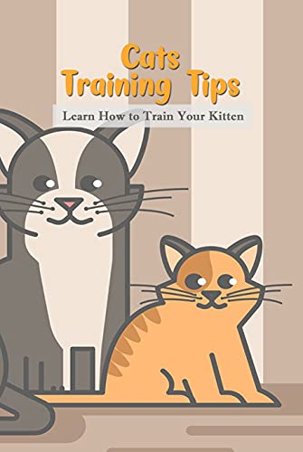training your kitten