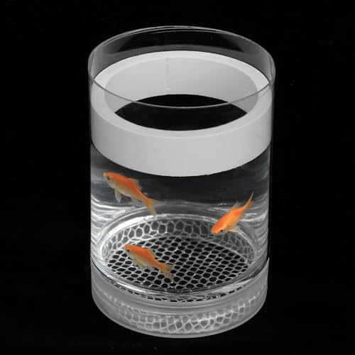 Acryl Aufzuchtbecken Aquarium,Jungfisch Aquarium Baby,Rund Ablaichkasten Zuchtbox,für Babyfische Shrimp Betta Kleiner Eingewöhnungskasten für Aggressive Fische Guppy Platy