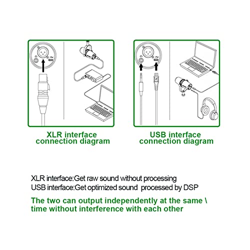 Microphone XLR USB pour PC avec câble audio pour enregistrement studio - 5