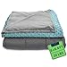 Quility Premium Adult Weighted Blanket & Removable Cover | 20 lbs | 60"x80" | for Individual Between 190-240 lbs | Full Size Bed | Premium Glass Beads | Cotton/Minky | Grey/Aqua Color