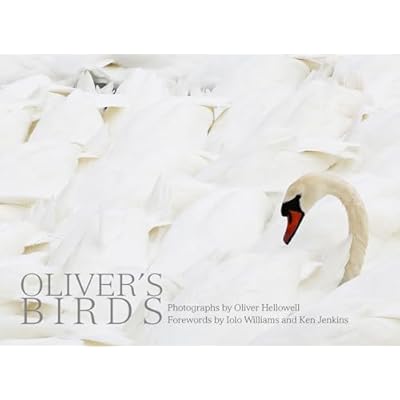 Oliver's Birds