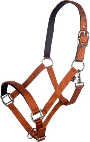 Licol Breakaway 2 HKM pour sécuriser l'attache du Pur-sang aux écuries