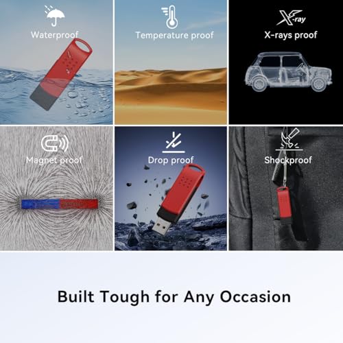 Image of 64GB USB Flash Drive 2 Pack (Red), USB-A, Pen Drives 25MB /s Read 10MB /s Write, Dual Thumb Drives for PC, Laptop, Car Music, Document Photo Storage (2 Pack)