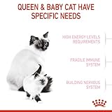 Royal Canin  Mother & Babycat  Katzenfutter - 6