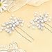 Lorealri Rhinestone Hair Pins Wedding Hair Accessories Flower Crystal Dress Sparkle Handmade Pearls Bride Bridesmaid Prom Headpieces for Women(2, Silver)